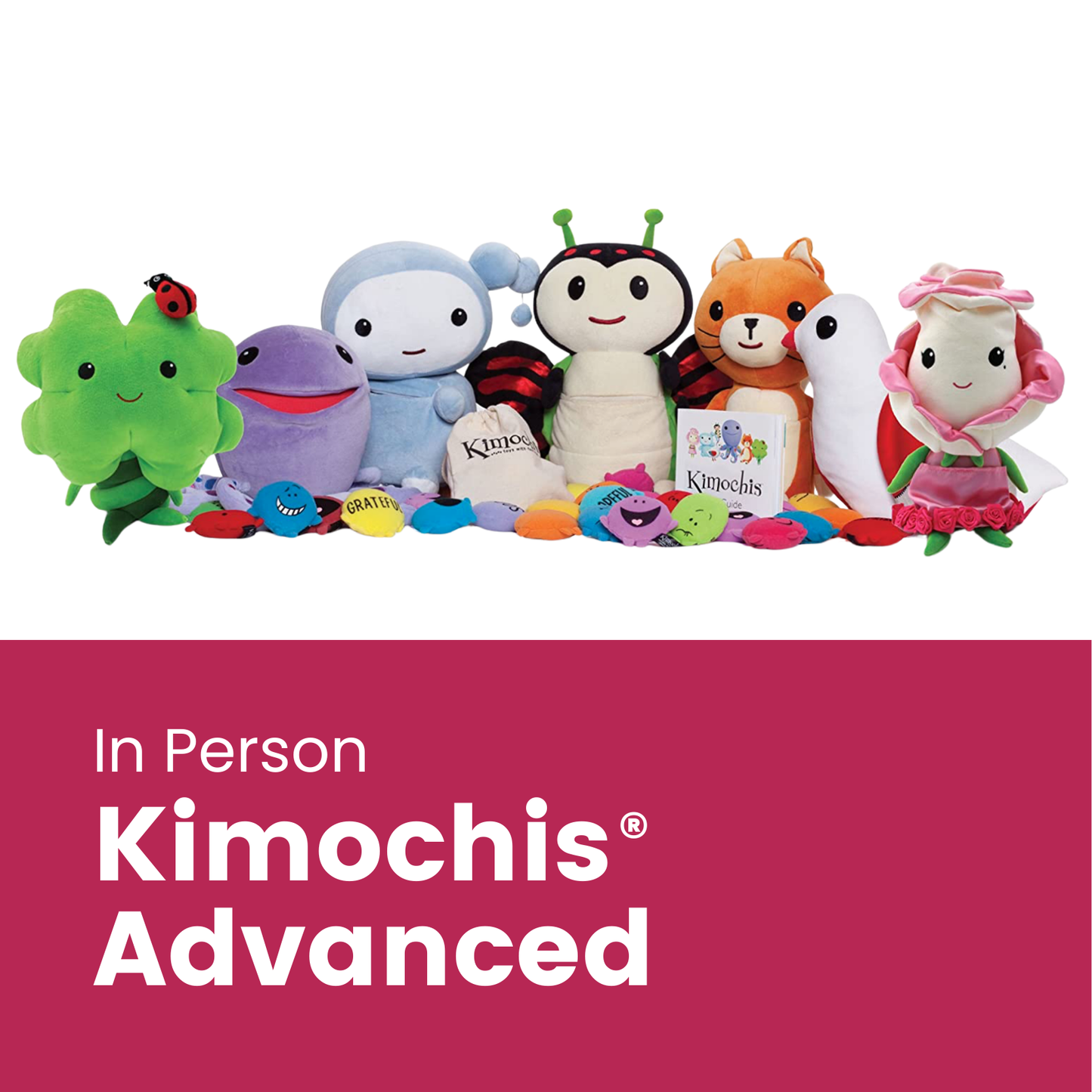 Kimochis® Australia Advanced Training (for experience Professionals and Educators)