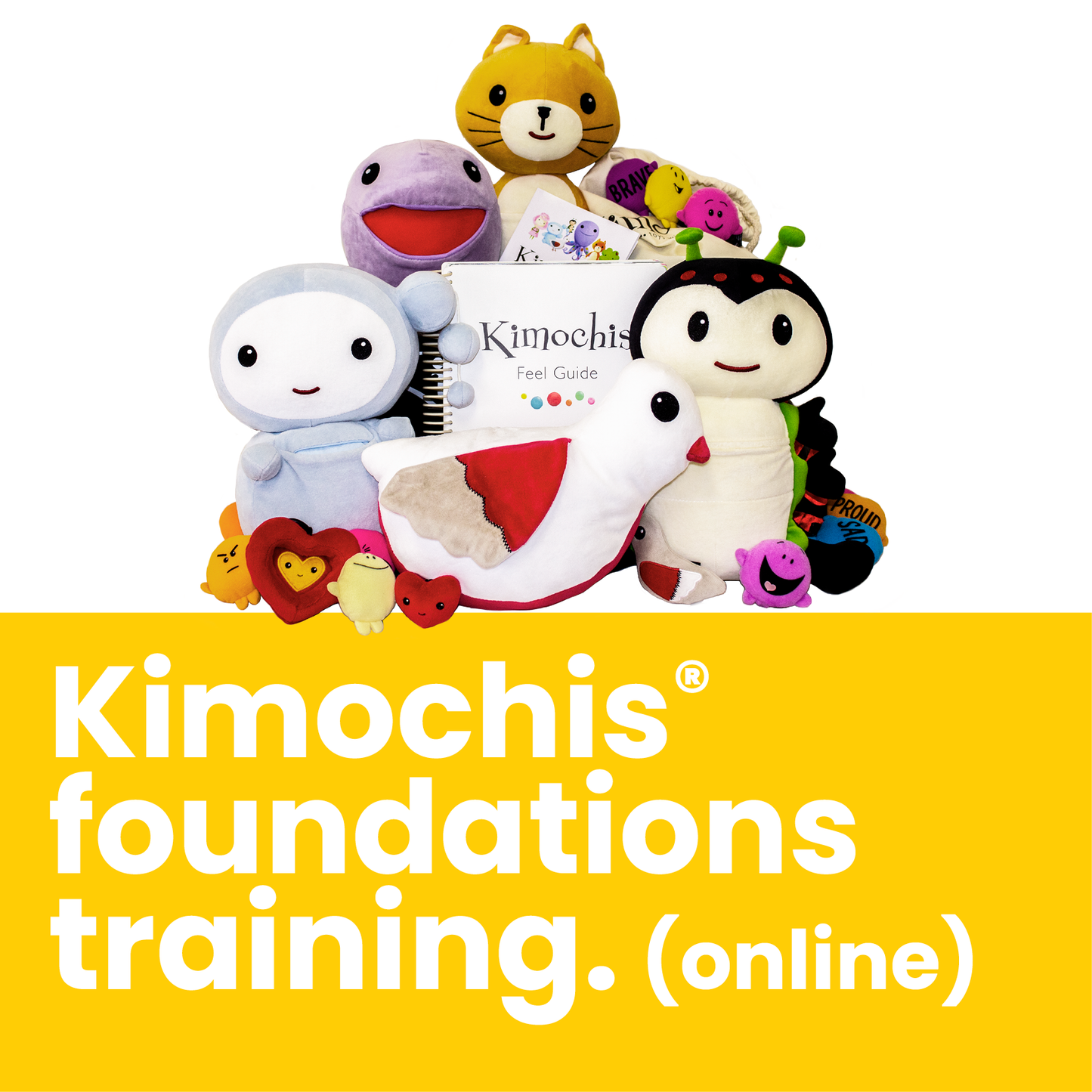 ONLINE CLASS - Kimochis® Australia Foundation Training (for Professionals & Educators) - Various Dates - BOOK NOW