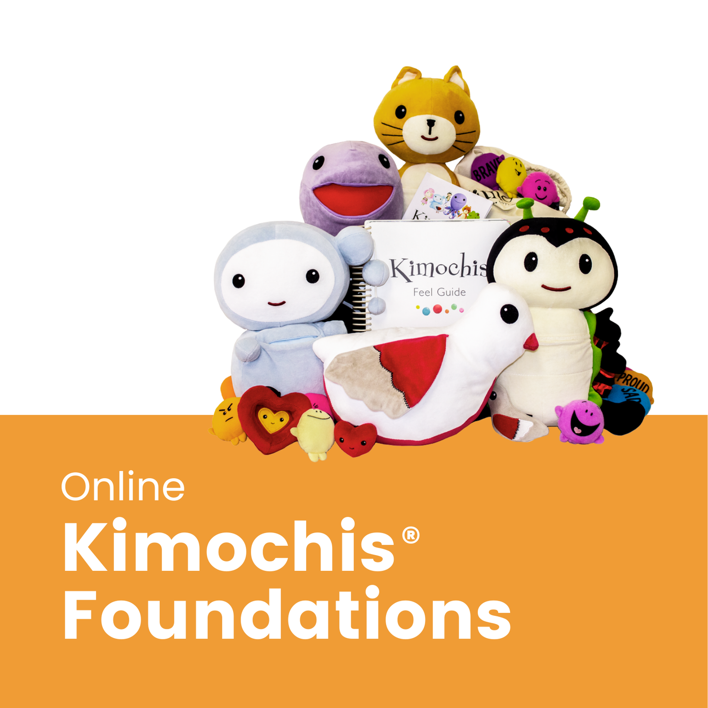ONLINE ZOOM Kimochis® Australia Foundations Training (for Professionals & Educators) -  Various Dates Available